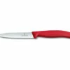 Victorinox Pairing Knife Red 10Cm -BEAUVIEWBBQ Sales 7611160003171 70811.1543393808