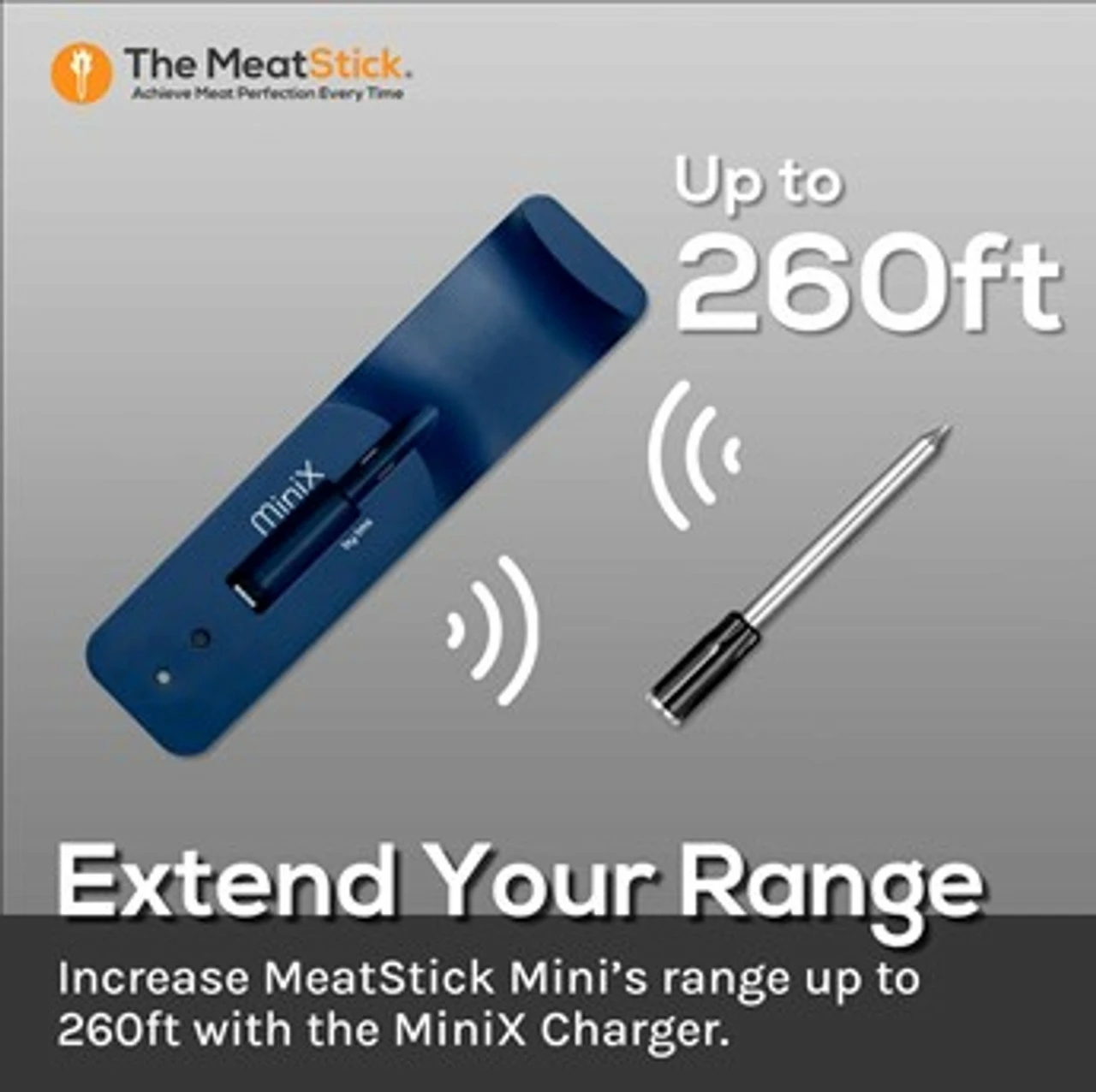MeatStick MiniX 3 MeatStick MiniX